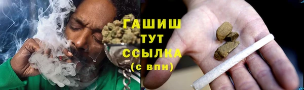 прущие грибы Бронницы