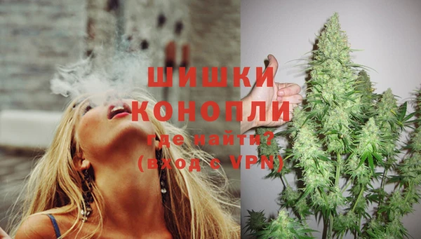 jwh Бородино